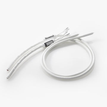 Schnerzinger Resolution Two RCA interkonnekt