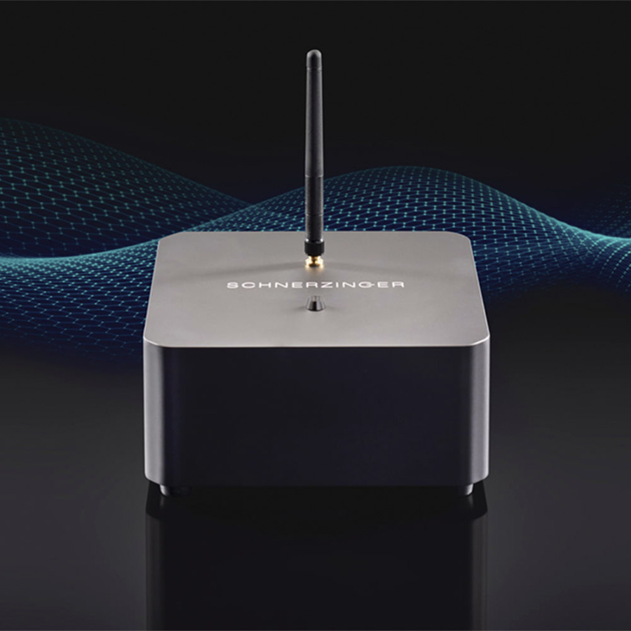 Schnerzinger LAN Protector
